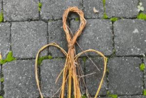 Weiden-Engel