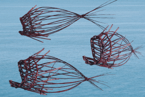 Burkina-Fische