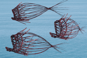 Burkina-Fische