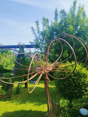Impressionen zum Kurs
