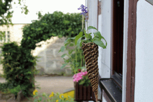 Impressionen zum Kurs
