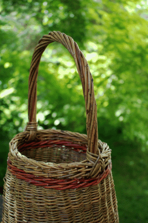 Impressionen zum Kurs