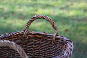 Impressionen zum Kurs