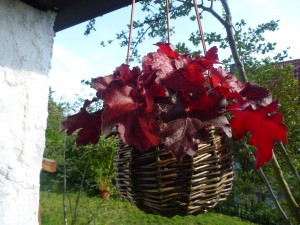 Impressionen zum Kurs